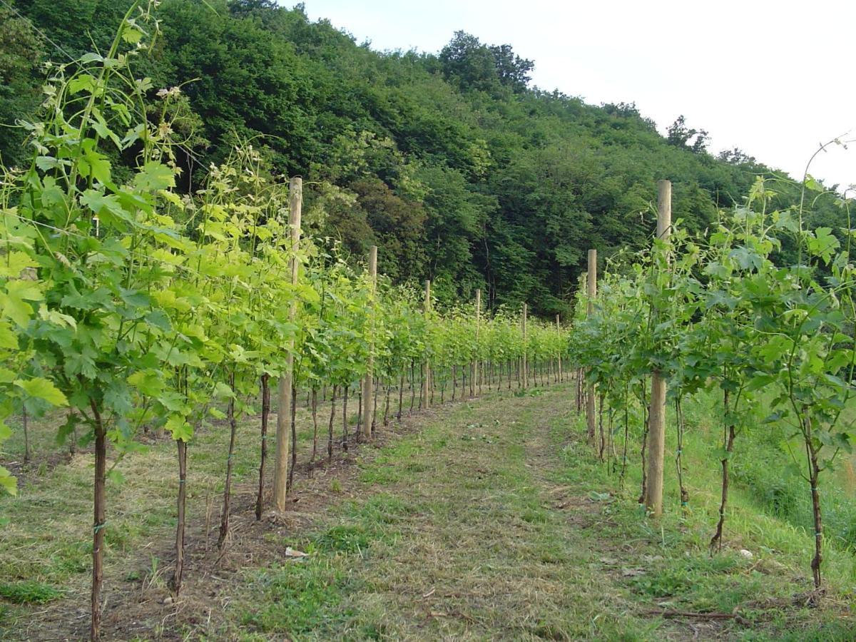 Agriturismo Sambuco Пастренго Екстериор снимка