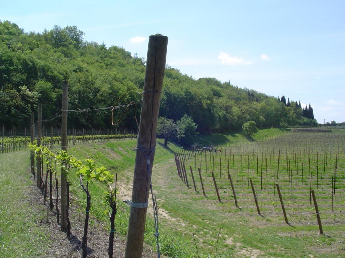 Agriturismo Sambuco Пастренго Екстериор снимка
