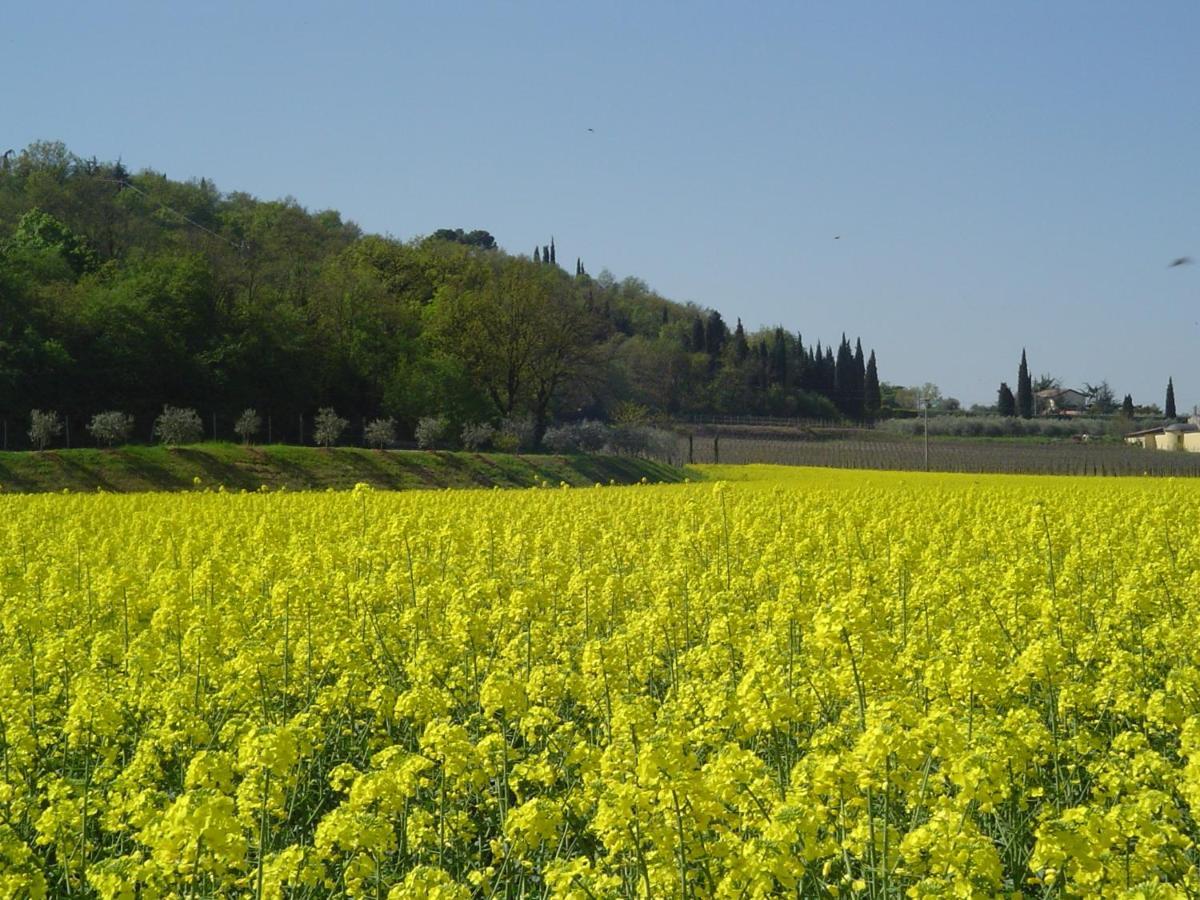 Agriturismo Sambuco Пастренго Екстериор снимка